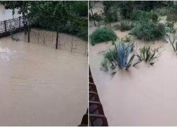 VIDEO: “ყველაფერი მიწასთანაა გასწორებული…მდინარე სუფსა ადიდდა“ – კადრები გურიიდან