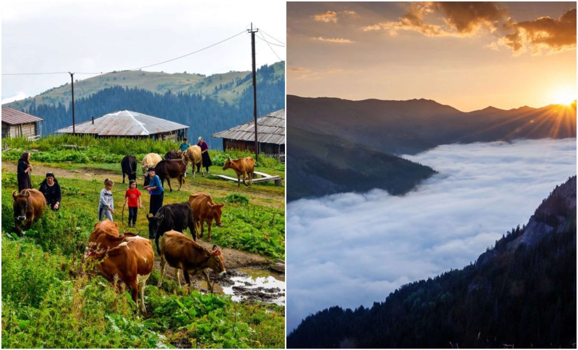 “მათთვის დილა 6 საათზე იწყება და დაღამებამდე შრომობენ…” – ფოტორეპორტაჟი მაღალმთიანი აჭარიდან