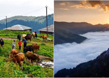 “მათთვის დილა 6 საათზე იწყება და დაღამებამდე შრომობენ…” – ფოტორეპორტაჟი მაღალმთიანი აჭარიდან