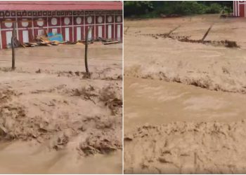 VIDEO: „გადაუარა ყველაფერს დატბორა ბაღები და სახლები” – კადრები სოფელ ფონადან