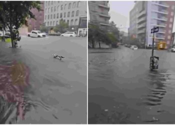 “ნიუ იორკი დღეს, ქალაქი დატბორილია” – ნახეთ რა კადრები ვრცელდება სოციალურ ქსელში