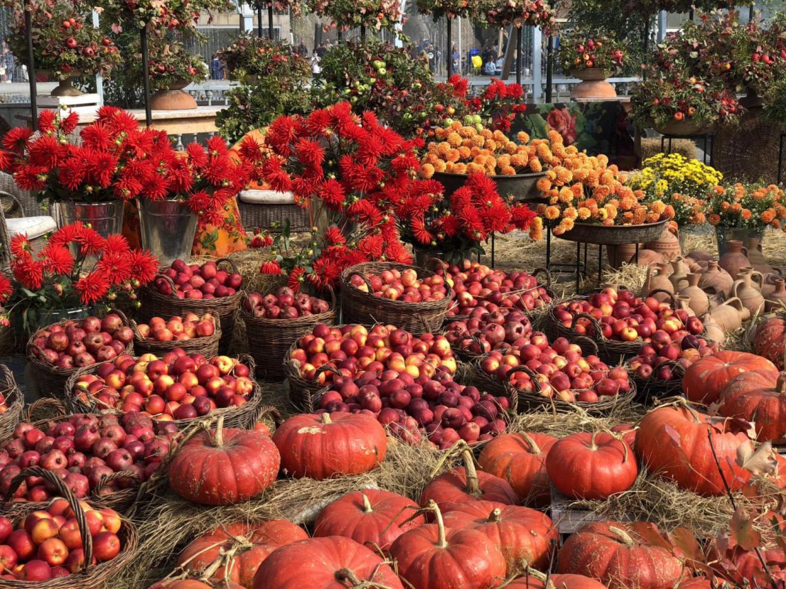 „თბილისობის“ ფარგლებში დაგეგმილი ღონისძიებების გამო, გარკვეულ ქუჩებზე ავტომობილების გადაადგილება შეიზღუდება