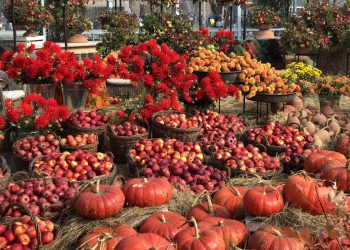 „თბილისობის“ ფარგლებში დაგეგმილი ღონისძიებების გამო, გარკვეულ ქუჩებზე ავტომობილების გადაადგილება შეიზღუდება