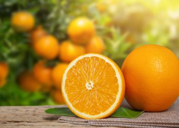 რამდენად სასარგებლოა ფორთოხალი?