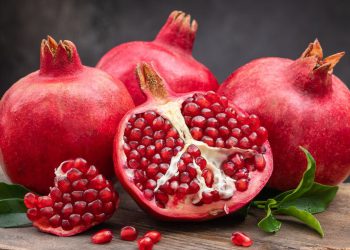 სასარგებლოა თუ საზიანო ბროწეული ჩვენი ორგანიზმისათვის?