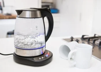 რა საფრთხეს გვიქმნის ჩაიდნის თეთრი ნადები და როგორ მოვაშოროთ ის?