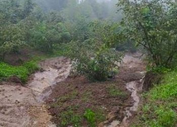 ,,სტიქიამ სოფლის სასაფლაოს კედელი ჩამოანგრია და ანგრევს საფლავებს” – რას ჰყვება ადგილობრივი გურიიდან