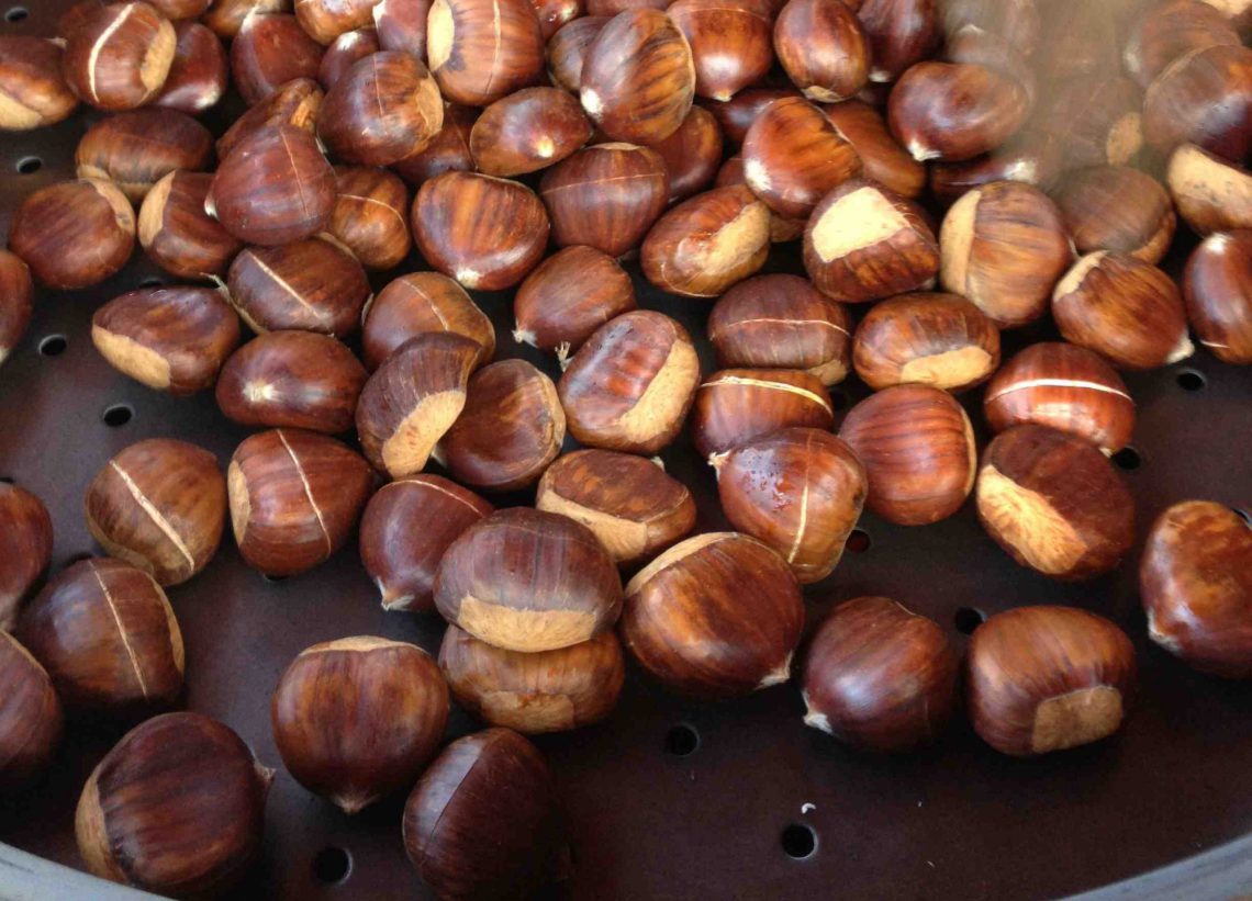 როდის არის წაბლი ორგანიზმისთვის საზიანო? – გაითვალისწინეთ