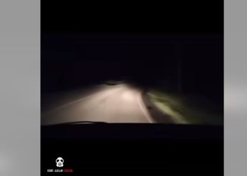 „აქციებზე დგომას გზები აკონტროლეთ, ქაოსია უკვე ქვეყანაში“ – რა ვიდეო ვრცელდება?