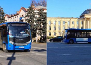 გორის მერიას ლურჯი ავტობუსებისთვის 1 ცალი საბურავის შეძენა 1000 ლარი უჯდება