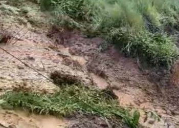 “გურიაში 3 პირს, მათ შორის 2 არასრულწლოვანს ეძებენ” – შსს განცხადებას ავრცელებს