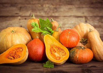 რა სარგებელი და ზიანი მოაქვს გოგრას? – გაითვალისწინეთ