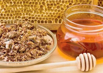 დინდგელი იმუნიტეტის ასამაღლებლად