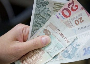 რამდენ ადამიანს აქვს 9 600-ზე მეტი ხელფასი საქართველოში?
