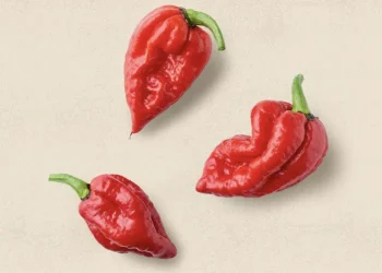 ცხარე საკვები – დადებითი და უარყოფითი მხარეები