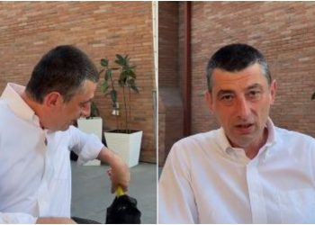 🎥 “ლოლამ კადრი ჩაშალა” – რა სახალისო ვიდეოს აქვეყნებს გიორგი გახარია