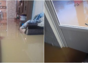 “მოსალოდნელ საშიშროებაზე გაფრთხილებდით…. ყურად არ იღეთ, საცდელ ვირთხებად გვაქციეთ” – რას წერს გურიის სტიქიის შედეგად ერთ-ერთი დაზარალებული