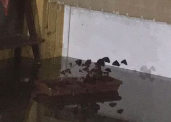 „ყველა გაწვიმება ჩემთვის კოშმარია” – მოქალაქე ოზურგეთიდან