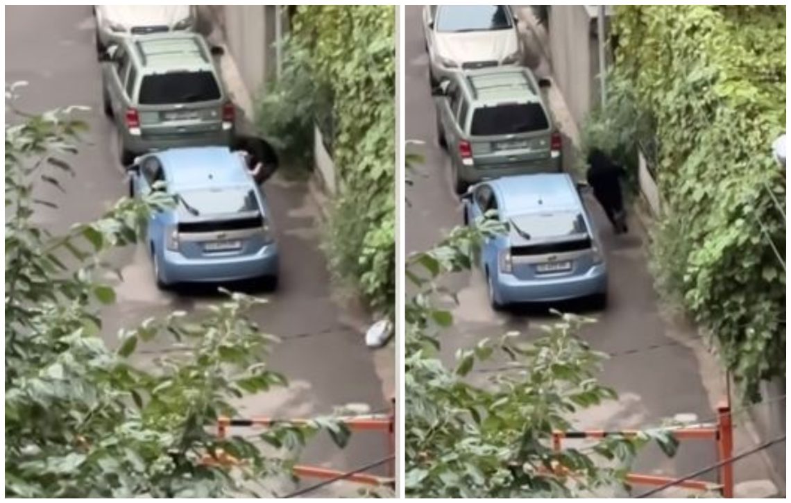 VIDEO: „არასრულწლოვნებზე კანონი უნდა გამკაცრდეს“ – რა ვიდეო ვრცელება სოციალურ ქსელში