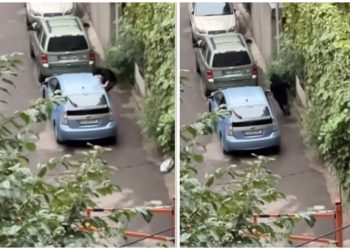 VIDEO: „არასრულწლოვნებზე კანონი უნდა გამკაცრდეს“ – რა ვიდეო ვრცელება სოციალურ ქსელში