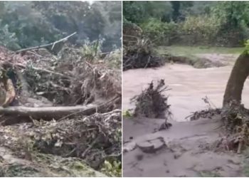 VIDEO: “გარესამყაროს მოწყდა ჩემი დედ-მამა 2 მცირეწლოვან ბავშვთან ერთად” – რა ვითარებაა სოფელ არჩეულში