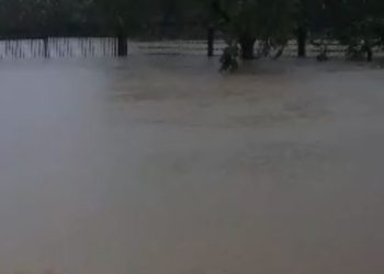 ჯუმათში მე-4 კლასელი ბავშვი დედას მეწყერმა გასტაცა, არასრულწლოვანს ეძებენ ჯიხანჯურშიც – სტიქია გურიაში