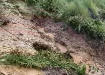 სახლი ჩაიტანა მეწყერმა, დაახლოებით 10 სახლია დანგრეული – სტიქია გურიაში