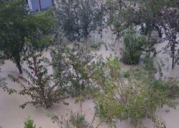 “გზა არ არის, რომ ადგილის დატოვება შეძლონ” – გოგორეთში მეწყერი ჩამოწვა