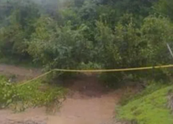 “ტექნიკაც ვერ მუშაობს, ძალიან დიდი ლაფია და ტალახია” – ლანჩხუთის მერი გურიაში მომხდარ სტიქიაზე