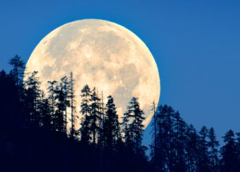 29 სექტემბერს სუპერმთვარეა – ნახეთ, რა უნდა გააკეთოთ ამ დღეს, რომ წარმატება და იღბალი მოიზიდოთ