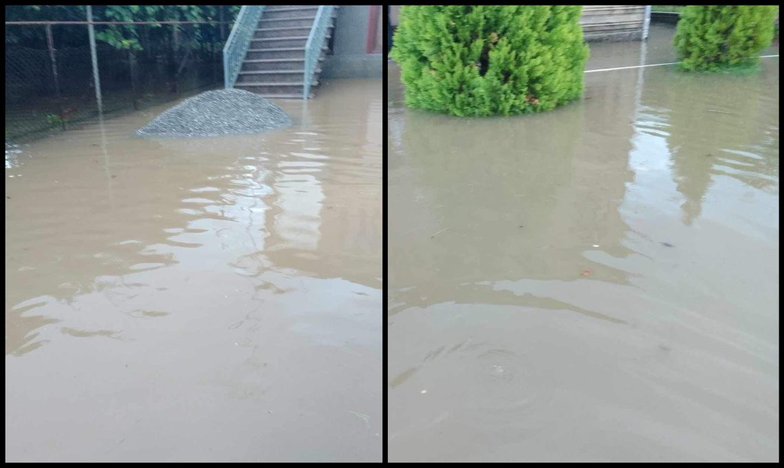 “ძლიერი წვიმის შედეგად ზუგდიდში სახლები, ეზოები და ქუჩები დაიტბორა” – რა ფოტოს აქვეყნებს ანი წითლიძე