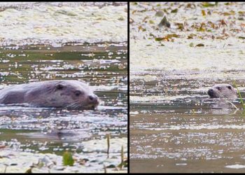 🎥 “წავები მცხეთაში” – რა კადრები ვრცელდება სოციალურ ქსელში