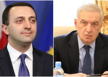 “ბიუჯეტიდან ბოტოქსს არ იკეთებს თქვენი პრეზიდენტივით…” – ვოლსკი ღარიბაშვილს იცავს