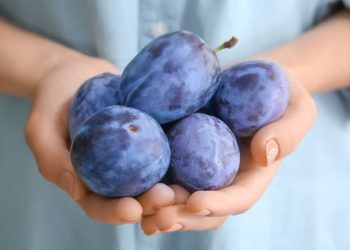 რა ზიანი შეიძლება მოგვიტანოს ქლიავმა? – ყველამ გაითვალისწინეთ