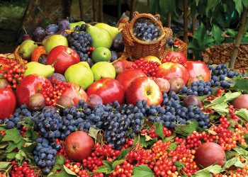 პროდუქტები, რომელიც შემოდგომაზე უნდა მიიღოთ