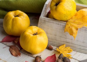 ეს აუცილებლად უნდა იცოდეთ – კომშის სასარგებლო თვისებები