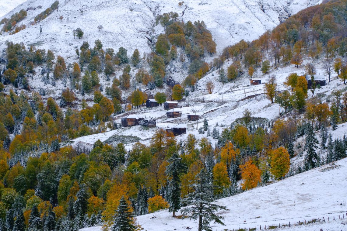 “შემოდგომა შეხვდა ზამთარს“ – უნიკალური კადრი გოდერძის უღელტეხილიდან