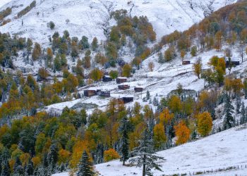 “შემოდგომა შეხვდა ზამთარს“ – უნიკალური კადრი გოდერძის უღელტეხილიდან