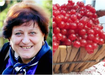 „უებარი საშუალებაა ხველის მოსაცილებლად“ – ნინო კვაჭანტრაძე ძახველის შენახვის რეცეპტს გვიზიარებს