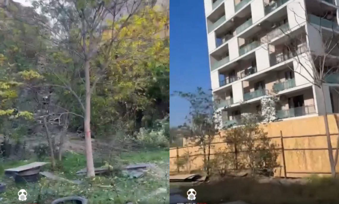 “ამ წუთებში მზიურის პარკში, სადაც მშენებელს ხეების მოჭრის ნებართვა აქვს, მოსახლეობა ფიზიკურად აჩერებს” – რა კადრები ვრცელდება სოც ქსელში