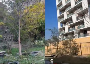 “แแ แฌแฃแแแแจแ แแแแฃแ แแก แแแ แแจแ, แกแแแแช แแจแแแแแแแก แฎแแแแแก แแแญแ แแก แแแแแ แแแ แแฅแแก, แแแกแแฎแแแแแ แคแแแแแฃแ แแ แแฉแแ แแแก” – แ แ แแแแ แแแ แแ แชแแแแแแ แกแแช แฅแกแแแจแ