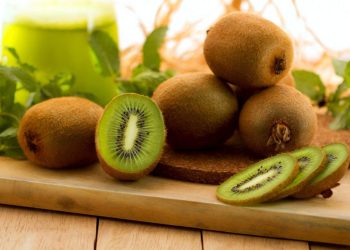 რა სასარგებლო თვისებები აქვს კივს და როდის არის ის საზიანო ორგანიზმისთვის?