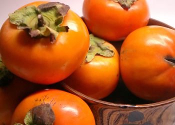 იმკურნალეთ კარალიოკით