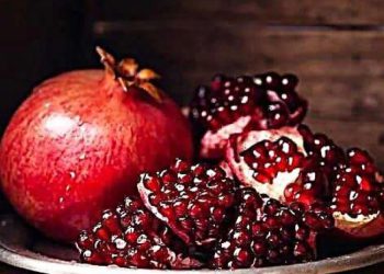 ბროწეულის ქერქის სამკურნალო თვისებები