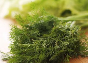 რატომ კიდებენ კამას შემოსასვლელ კარზე და რისგან იცავს ის ოჯახს?