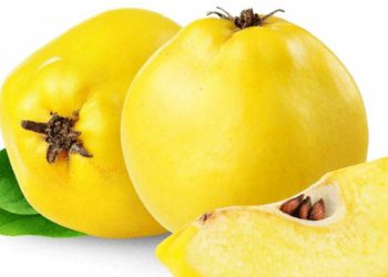 კომშის 5 სასარგებლო თვისება