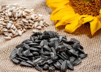 მზესუმზირის სასარგებლო თვისებები