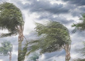 რამდენ ხანს გასტანს ცუდი ამინდი და ძლიერი ქარი? – გარემოს ეროვნული სააგენტოს ინფორმაცია