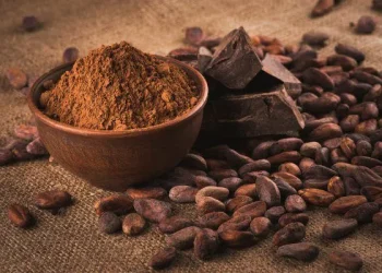 კაკაოს სასარგებლო თვისებები