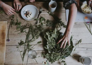 რომელი მცენარე იზიდავს იღბალსა და კეთილდღეობას სახლში